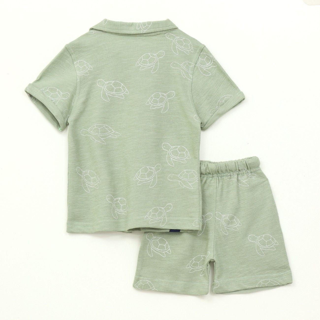 Sage Green Turtle Print Kids Boys Shirt & Shorts Set