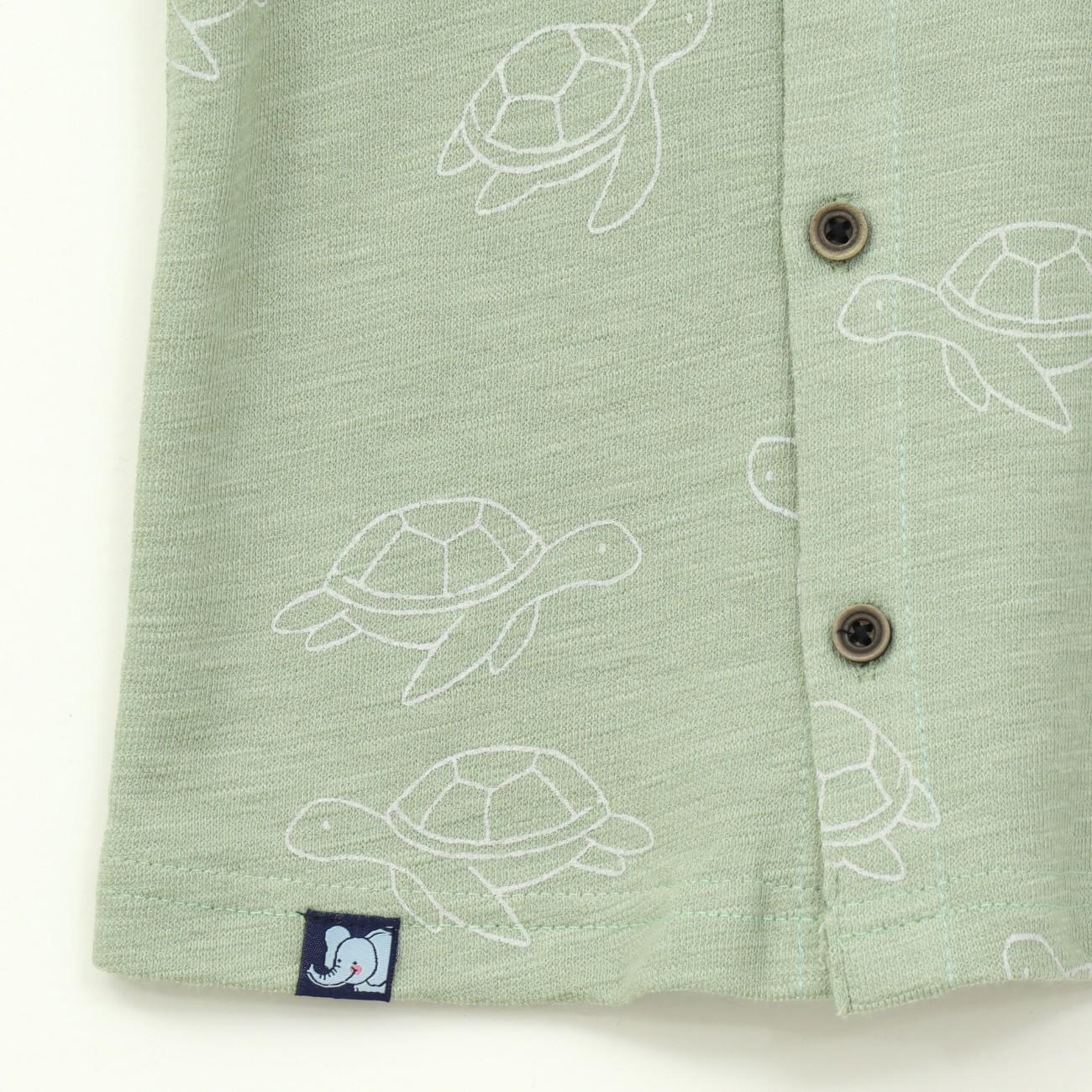 Sage Green Turtle Print Kids Boys Shirt & Shorts Set