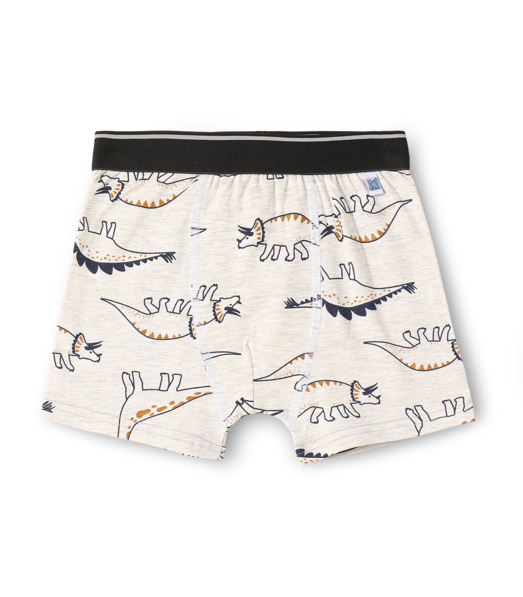 Classic Dinosaurs Silhoutte Kids Boys Cotton Trunks