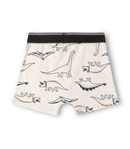 Classic Dinosaurs Silhoutte Kids Boys Cotton Trunks