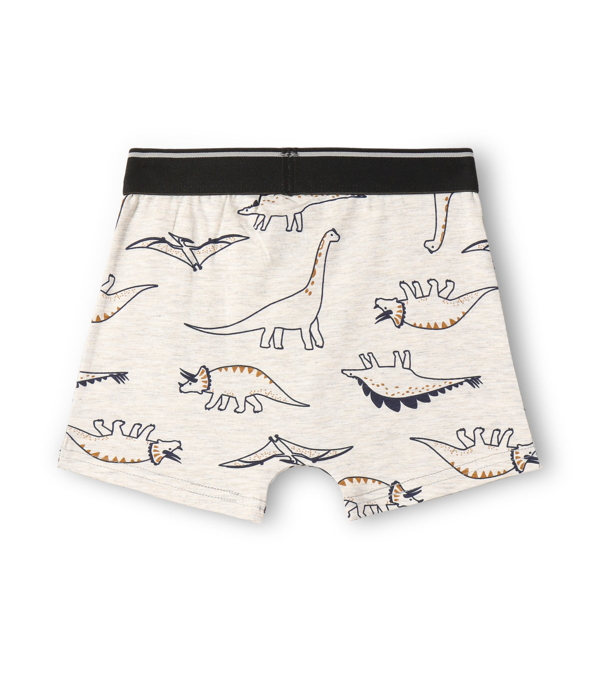 Classic Dinosaurs Silhoutte Kids Boys Cotton Trunks