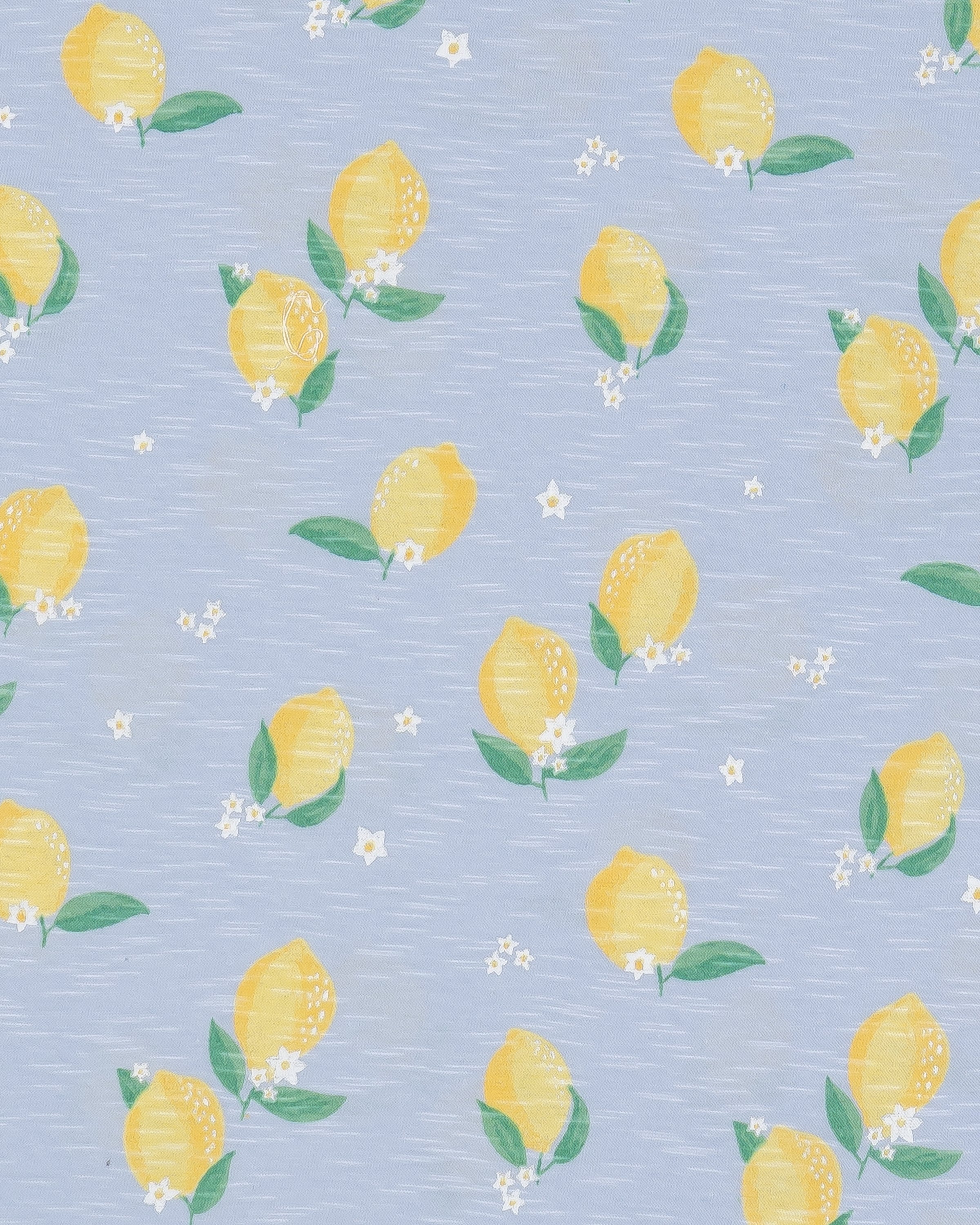 Lemon Printed Lite Blue Girls A-line Dress