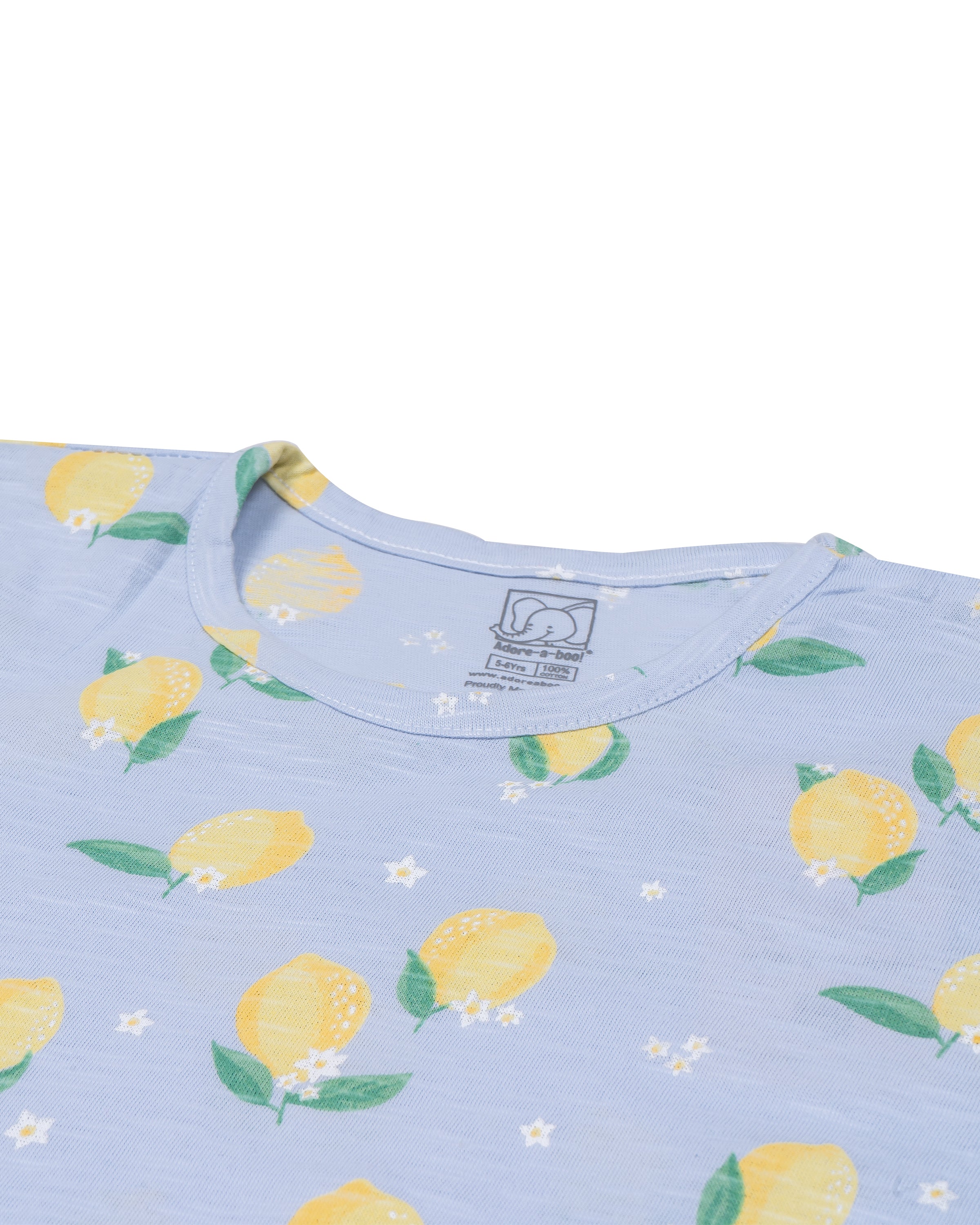 Lemon Printed Lite Blue Girls A-line Dress