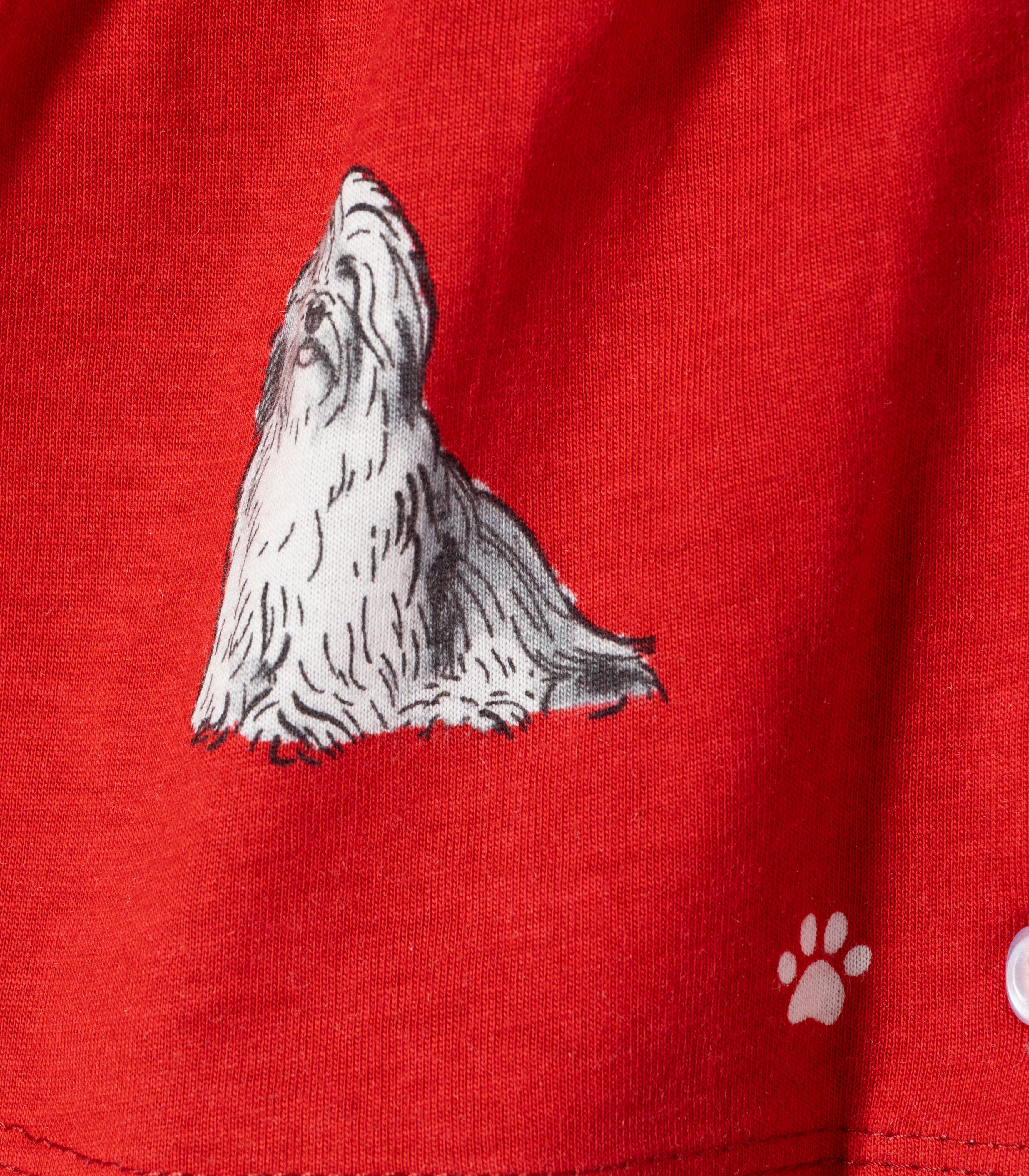 Dogs Printed Red Girls Cotton Frock with Panty