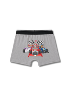 Grey Paw Kings Kids Trunks