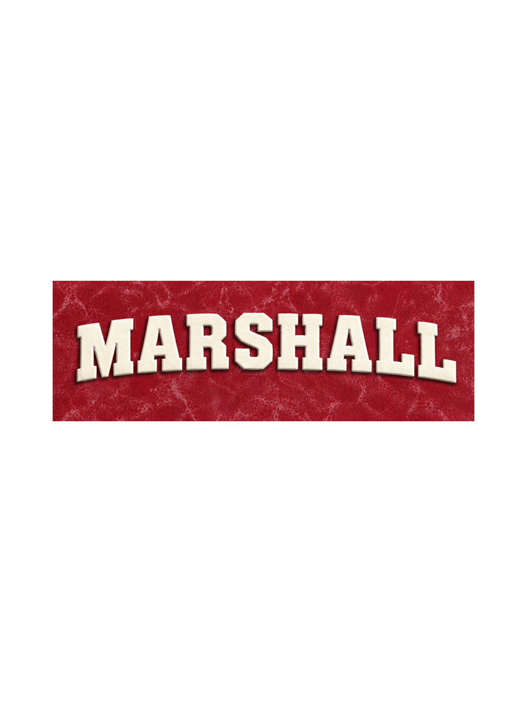Marshall Logo Kids Boys Acid Wash T-Shirt – Paw Patrol©