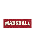 Marshall Logo Kids Boys Acid Wash T-Shirt – Paw Patrol©