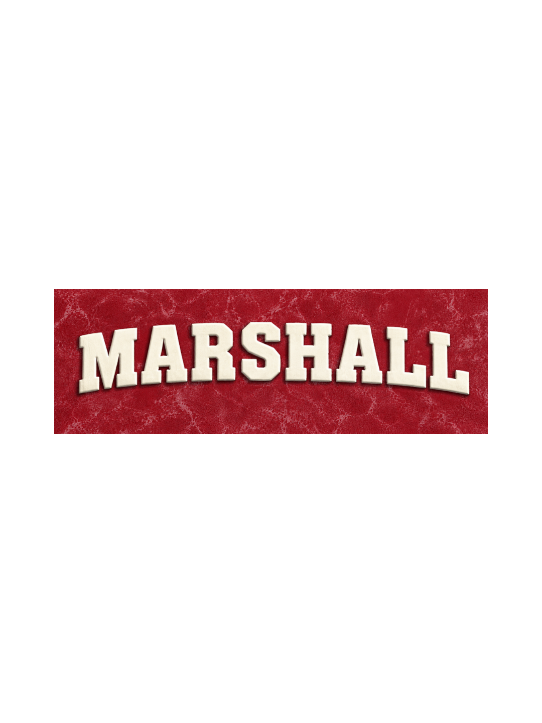 Marshall Logo Kids Boys Acid Wash T-Shirt – Paw Patrol©