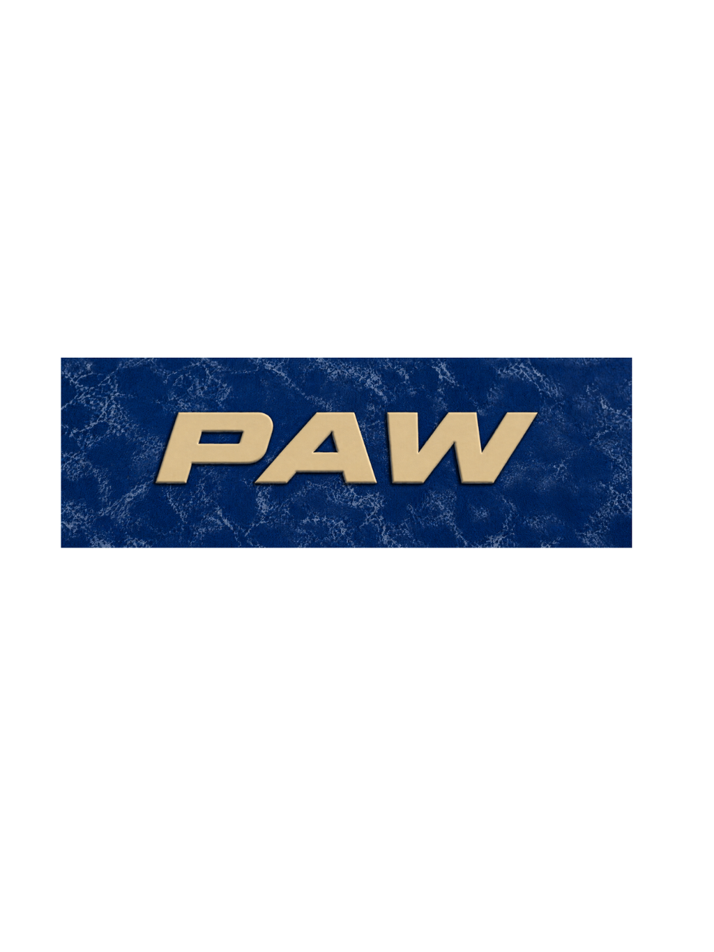 PAW Logo Kids Boys Acid Wash T-Shirt – Paw Patrol©