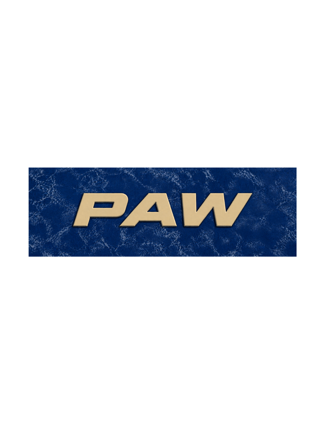 PAW Logo Kids Boys Acid Wash T-Shirt – Paw Patrol©