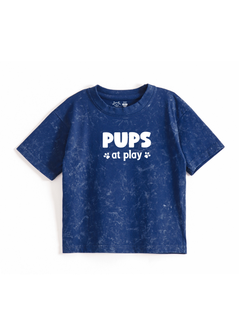 Pups at Play Kids Boys Acid Wash T-Shirt – Paw Patrol©