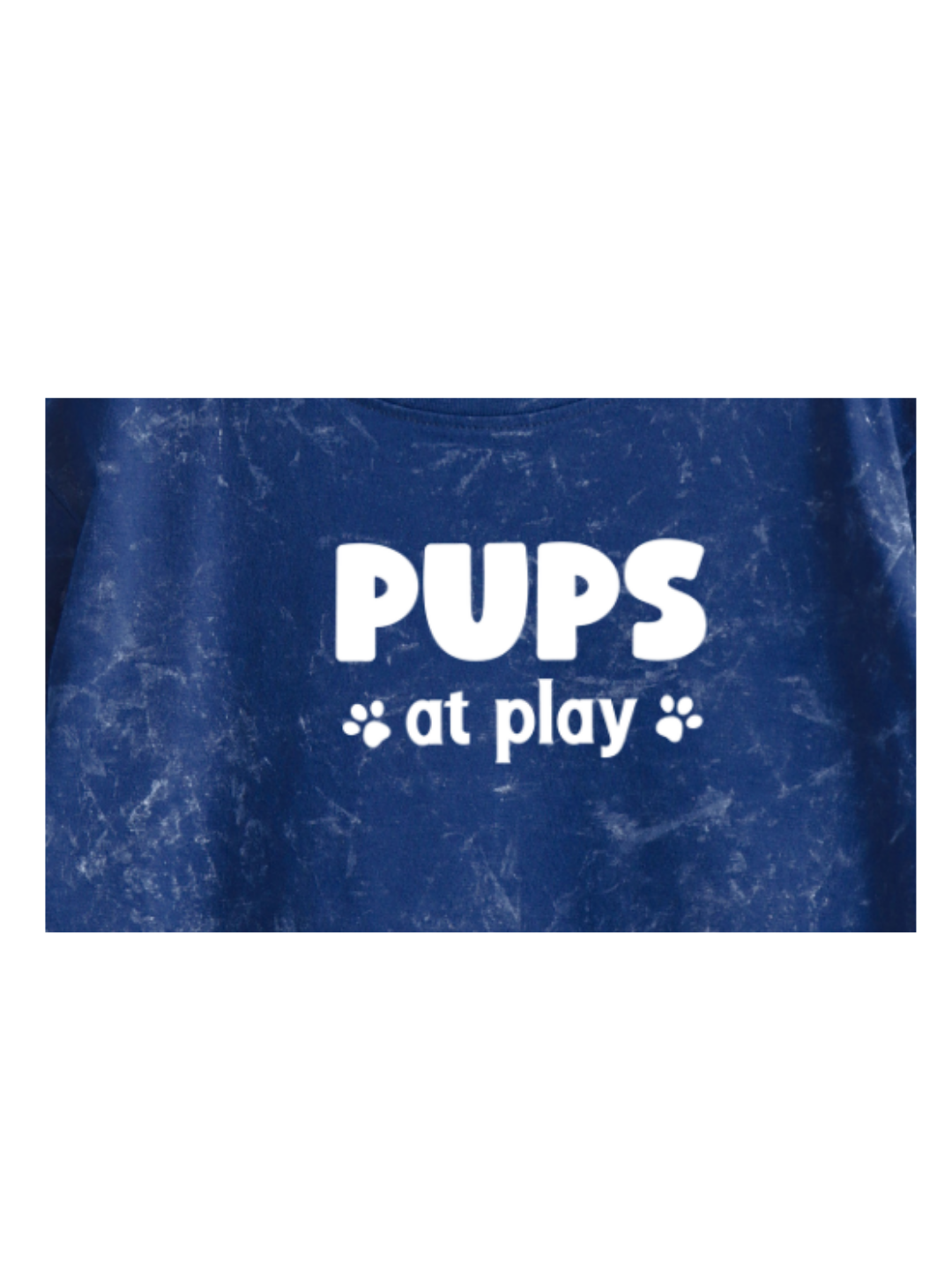 Pups at Play Kids Boys Acid Wash T-Shirt – Paw Patrol©