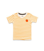 Orange Stripes & Fruit Embroidered Kids Tshirt With Shorts