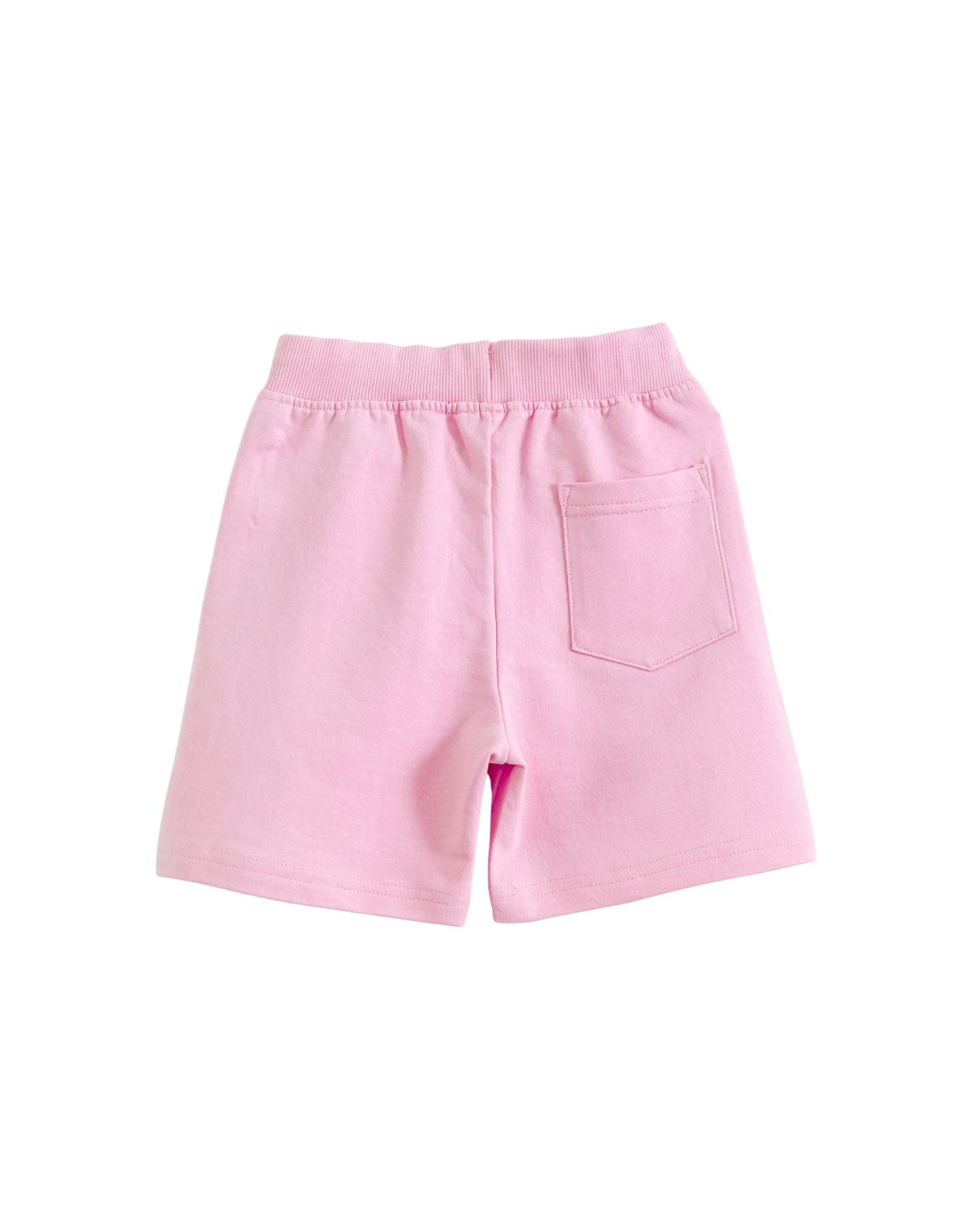 Paw Patrol Skye Girls Cotton T-Shirt & Shorts Set