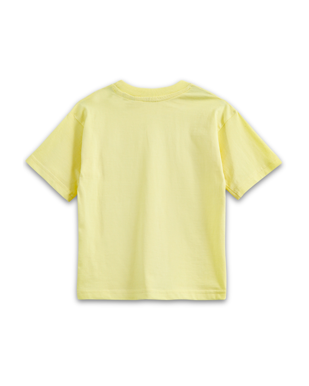 A Roarable Skye Graphic Kids T-Shirt & Shorts Set – PAW Patrol® Dino Movie