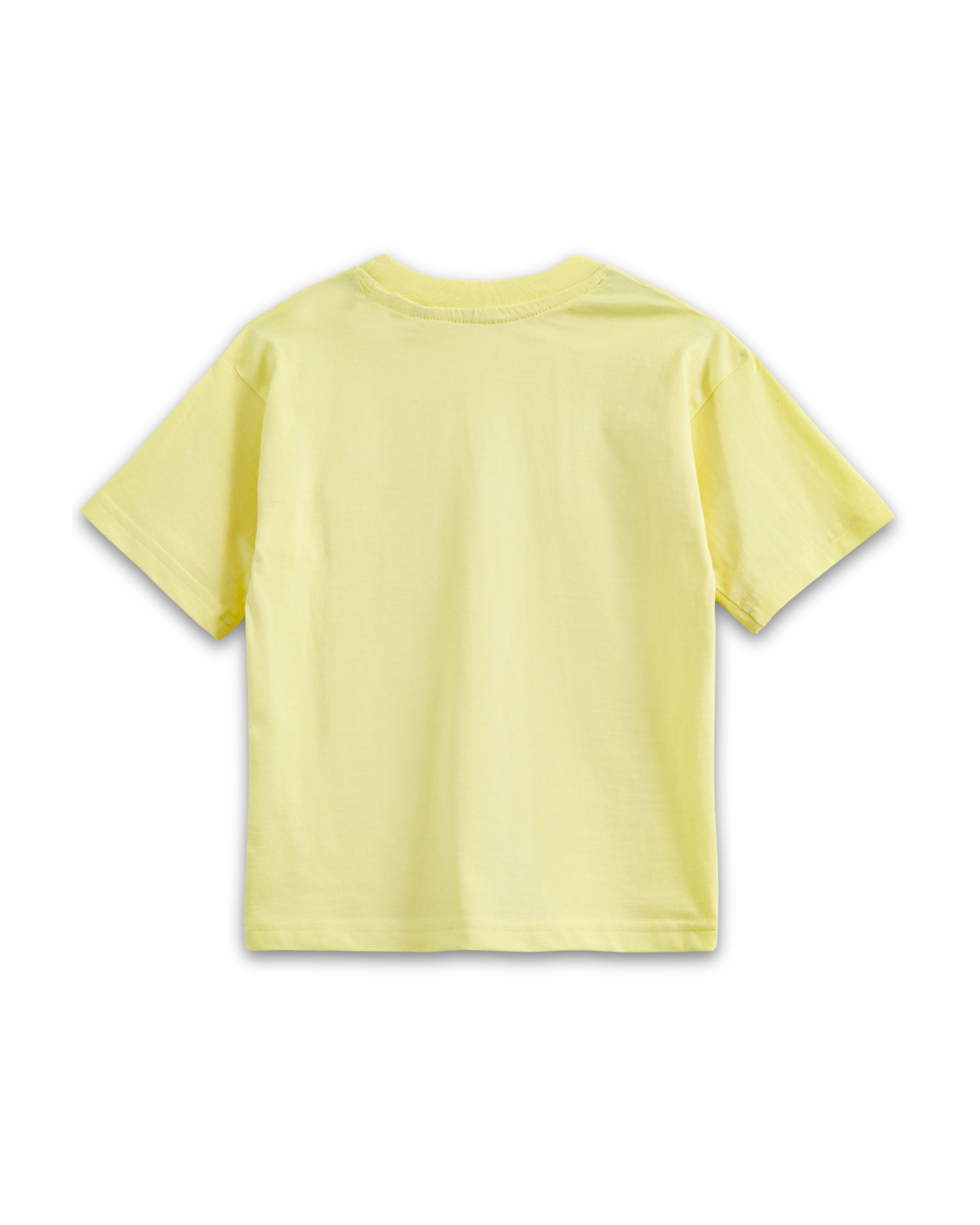 A Roarable Skye Graphic Kids T-Shirt & Shorts Set – PAW Patrol® Dino Movie