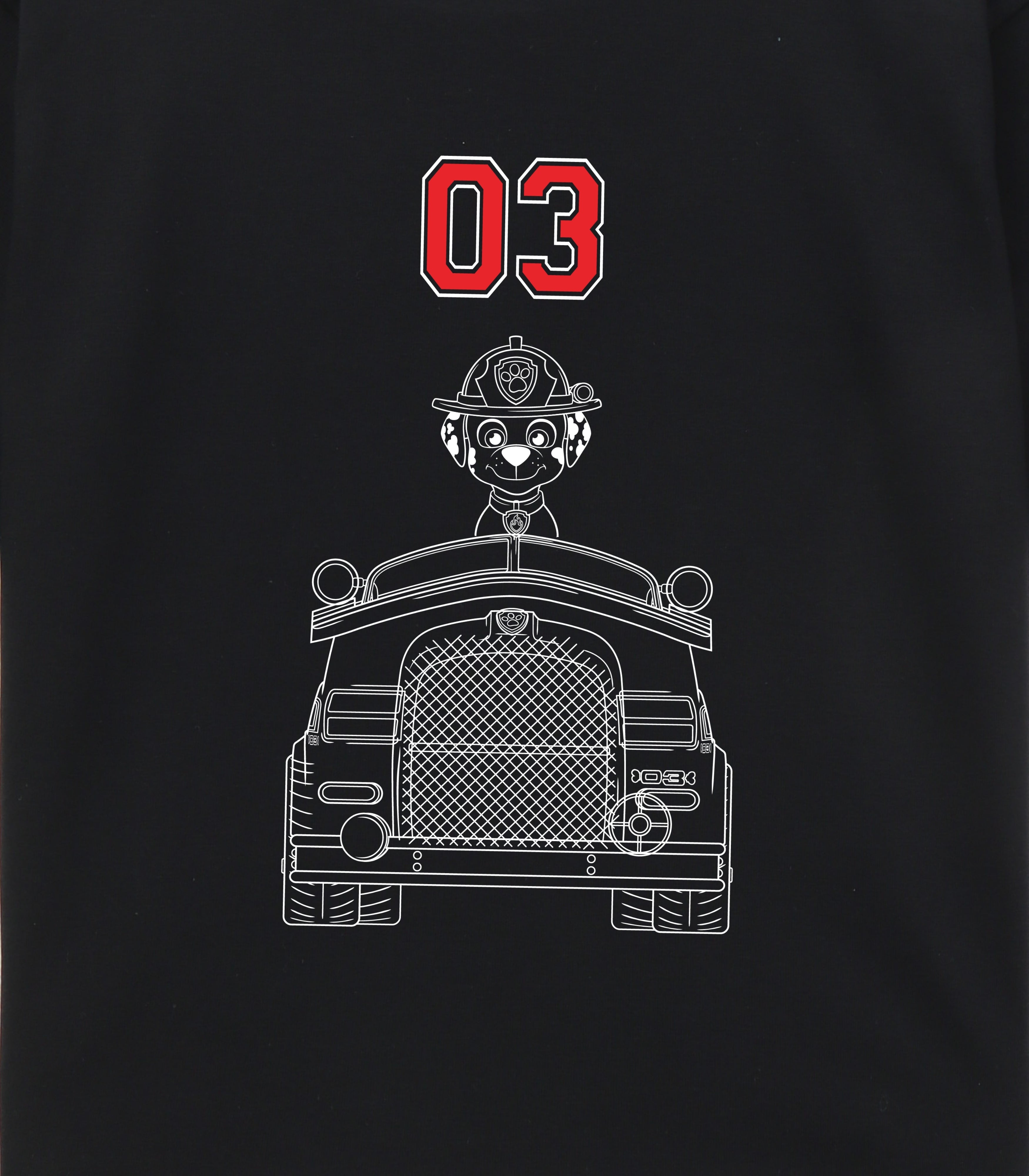 Marshall Paw Patrol Print Kids T-Shirt