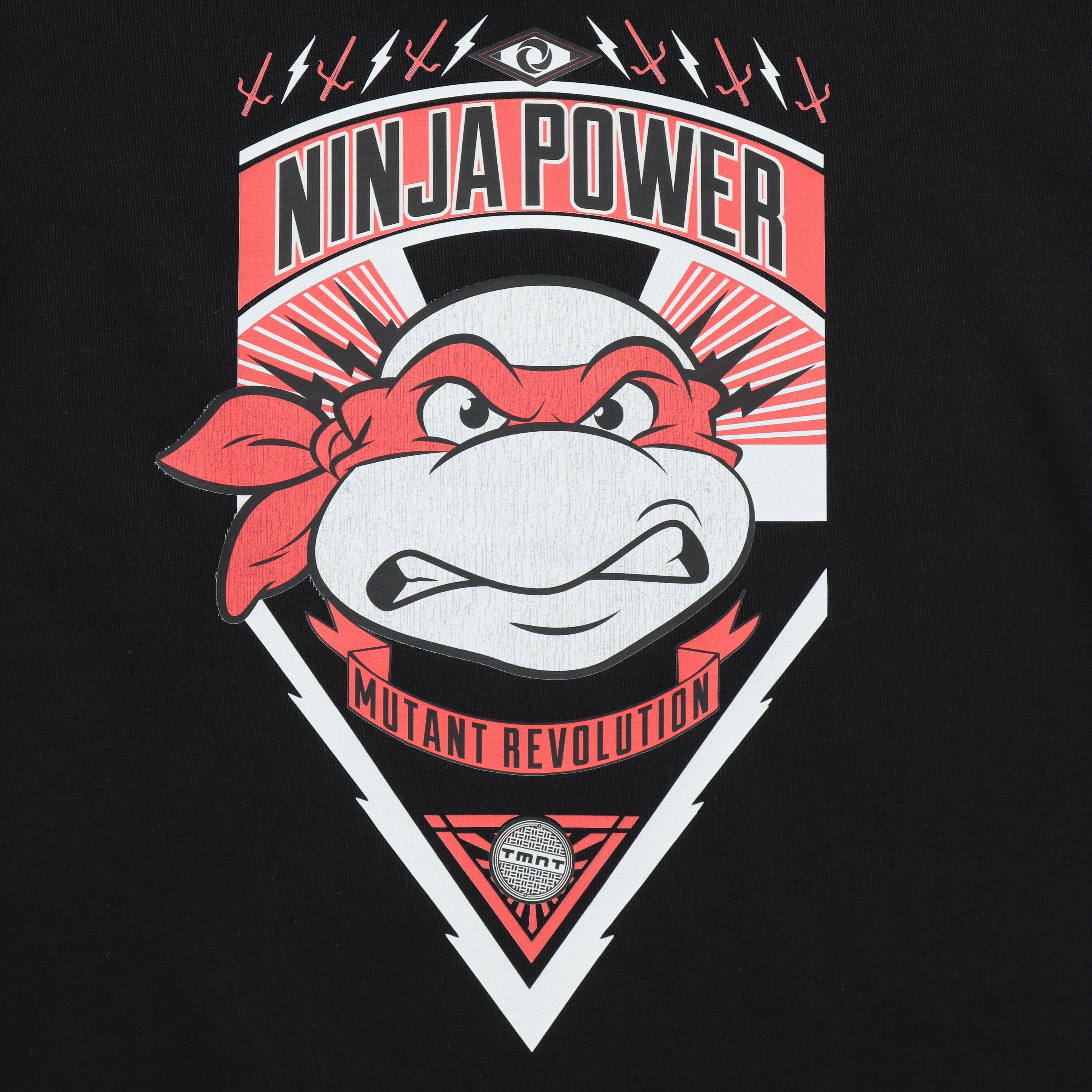 Ninja Power Shield Bold Graphic Kids T-Shirt – Ninja Turtles