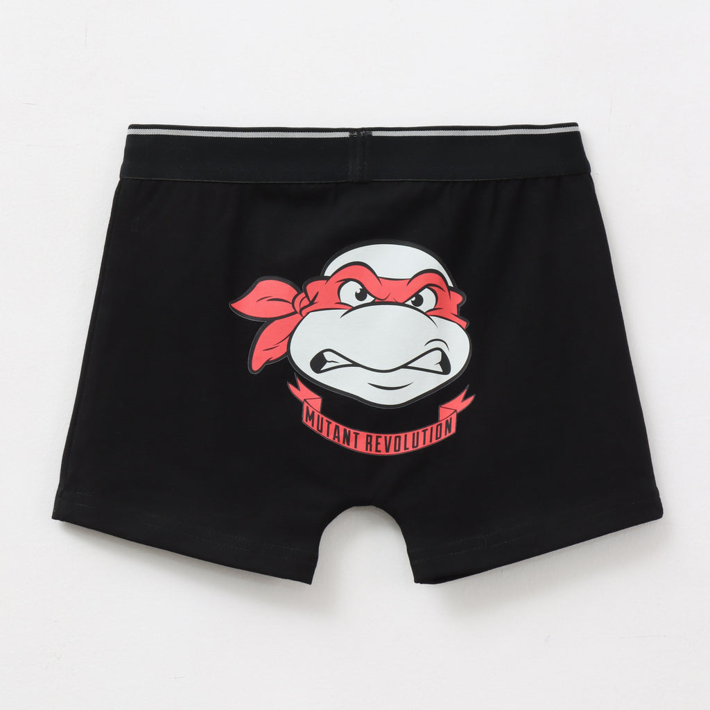 Ninja_Turtles_Raphael_Kids_Boys_Trunks