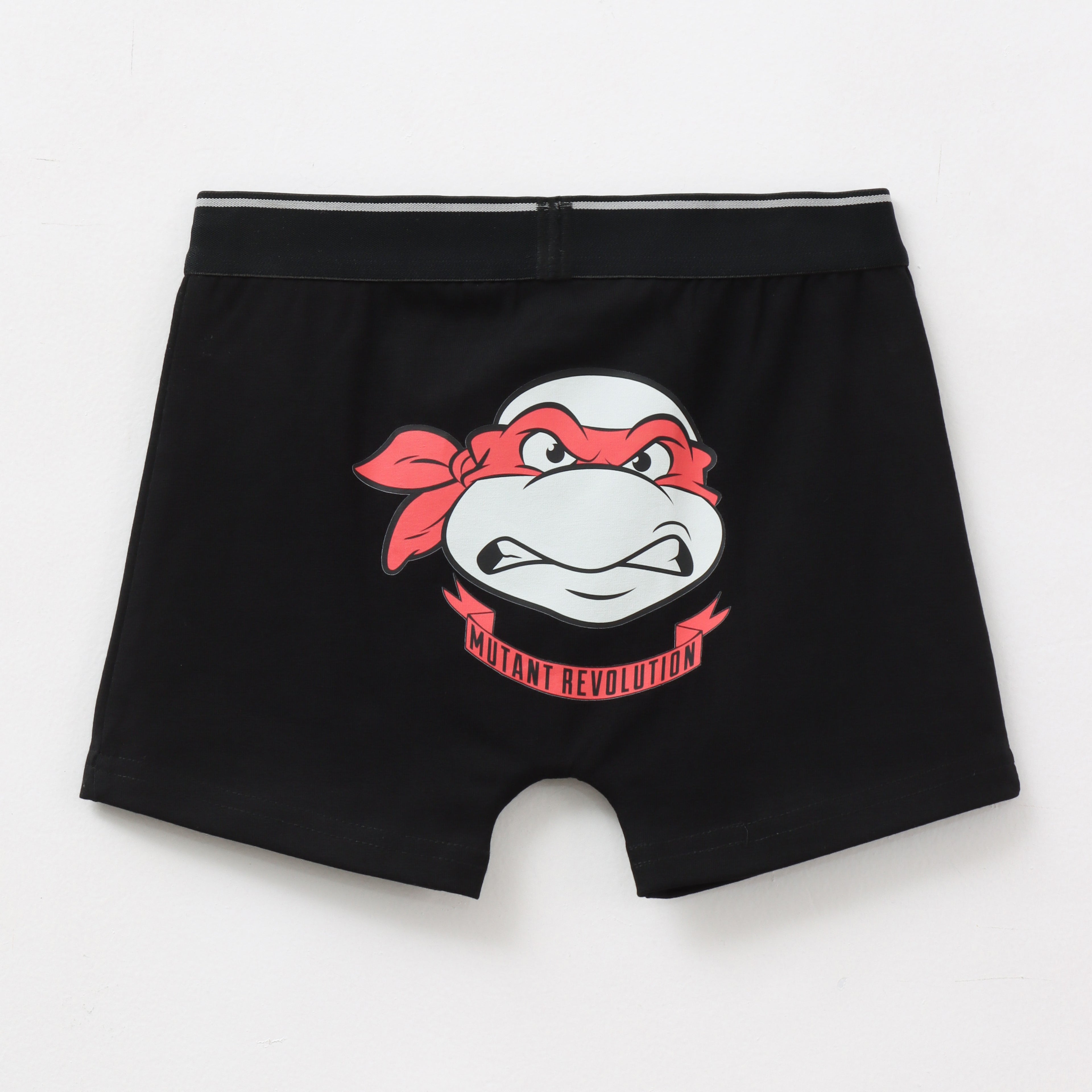 Ninja_Turtles_Raphael_Kids_Boys_Trunks