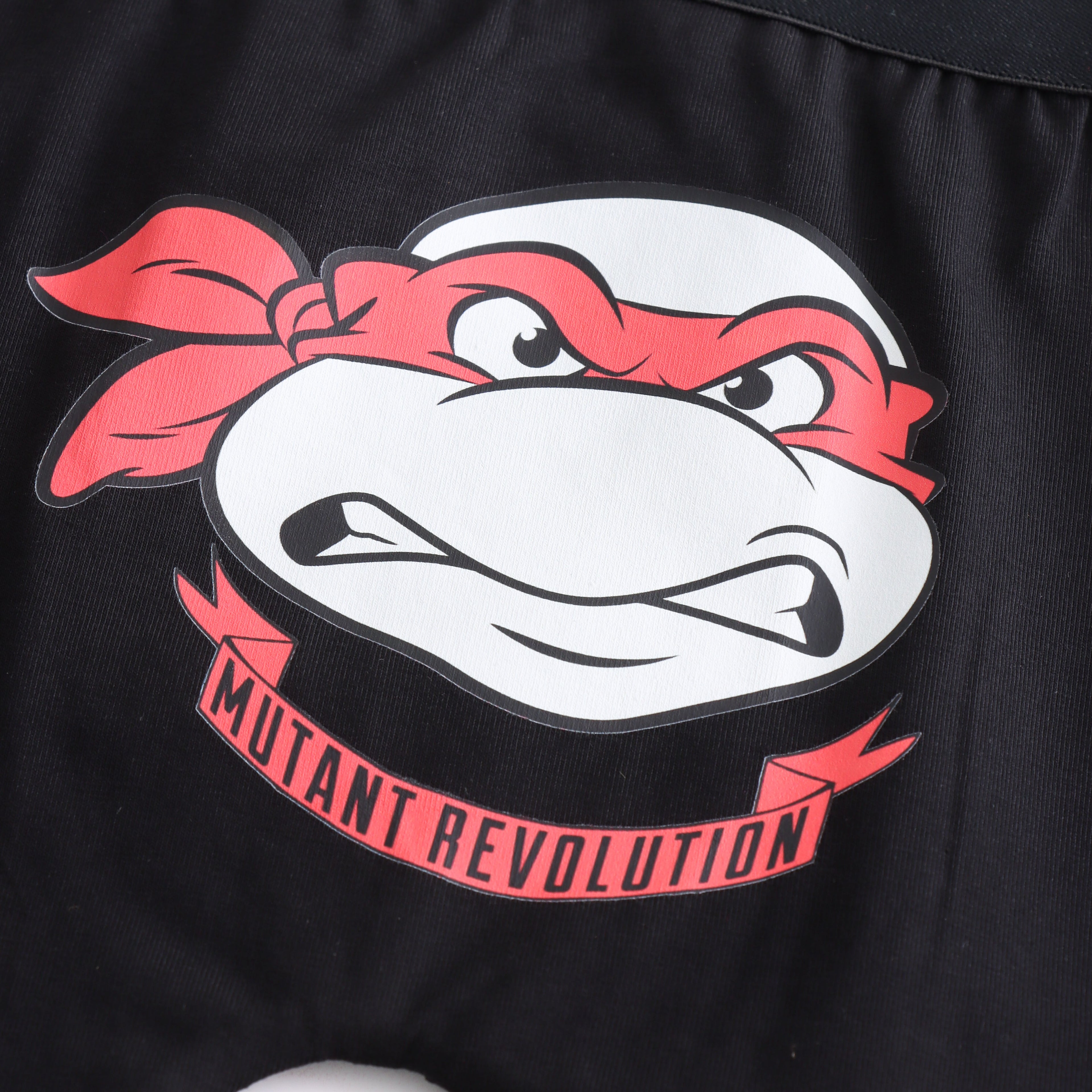 Ninja_Turtles_Raphael_Kids_Boys_Trunks