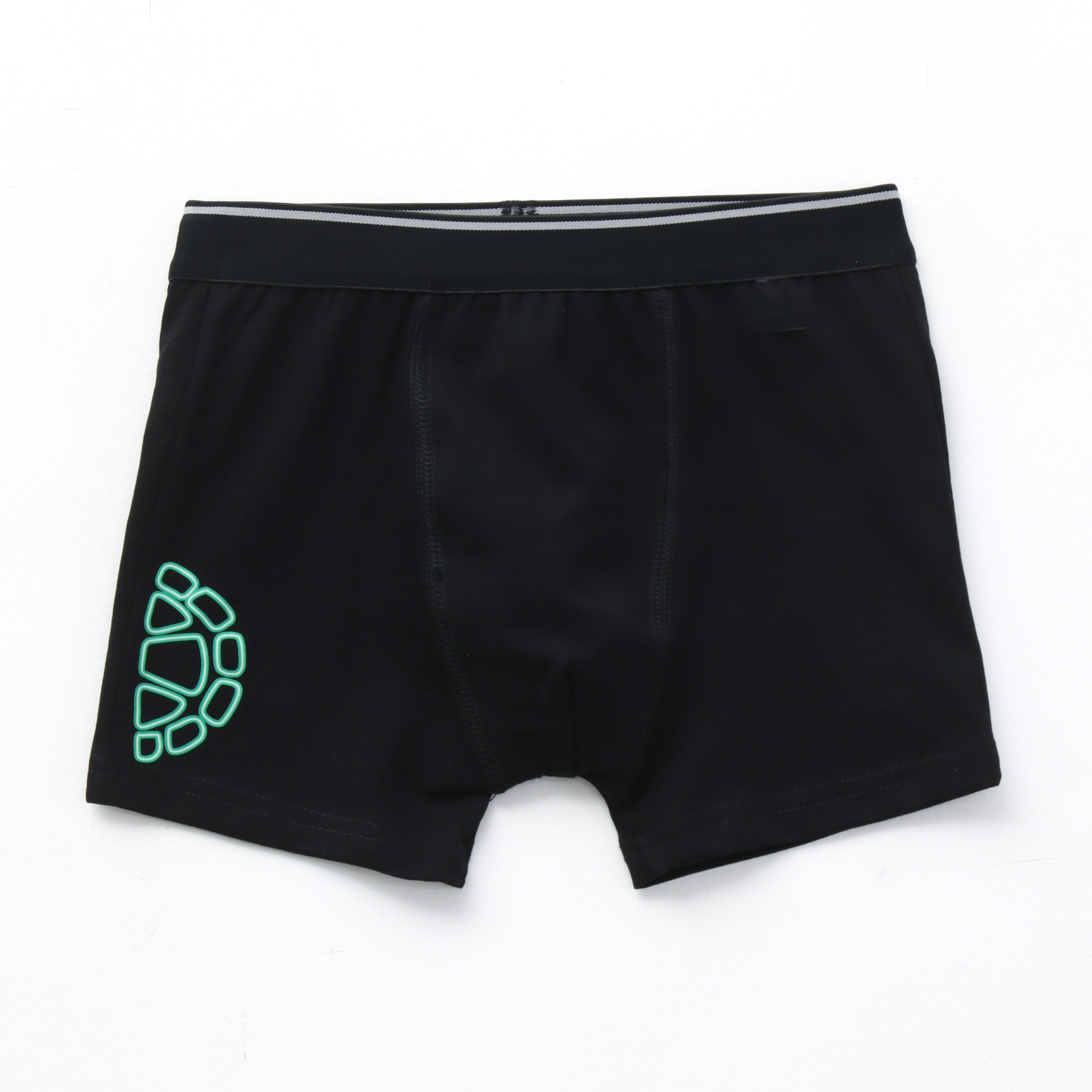 Ninja_Turtles_Shell_Icon_Kids_Boys_Trunks