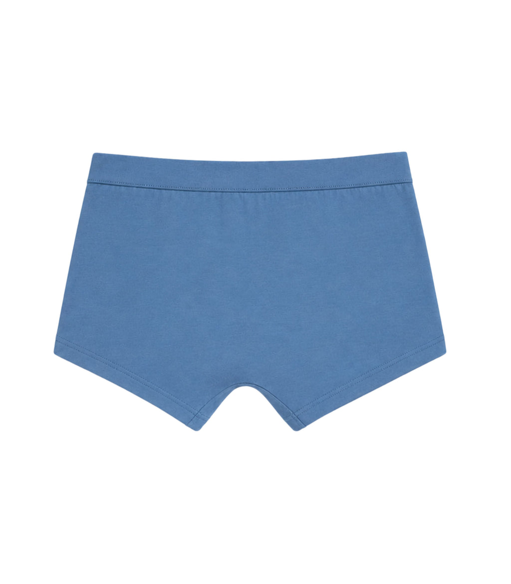 Blue Tribal Zebra Safari Girls Trunk Panty