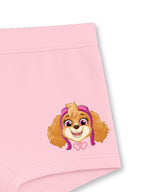 Pink Paw Patrol Skye Happy Face Girls Trunk Panty