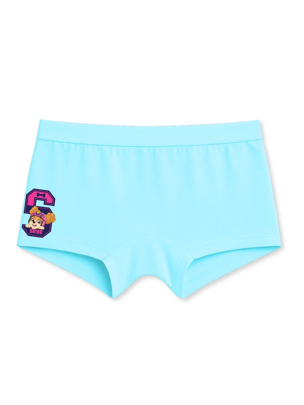 Sky Blue Paw Patrol Skye Cute Badge Girls Trunk Panty