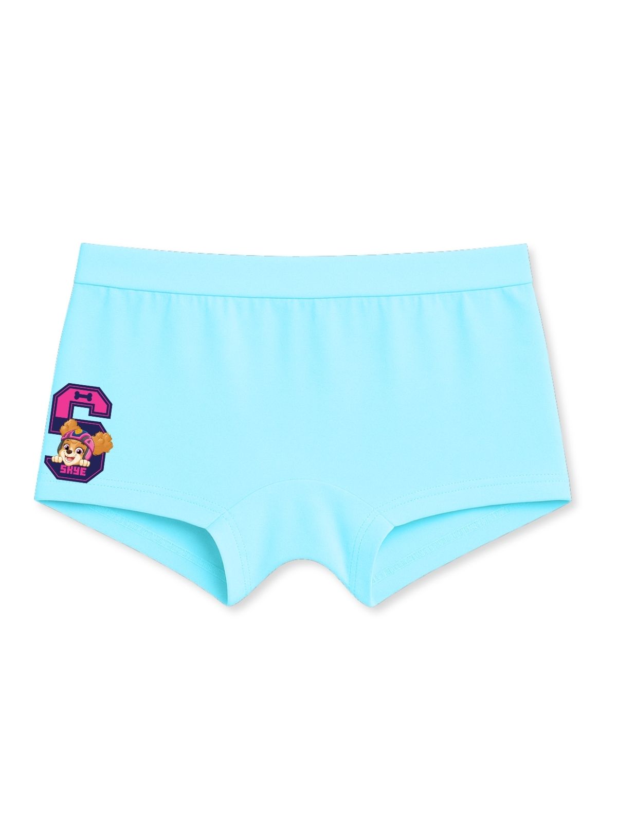Sky Blue Paw Patrol Skye Cute Badge Girls Trunk Panty