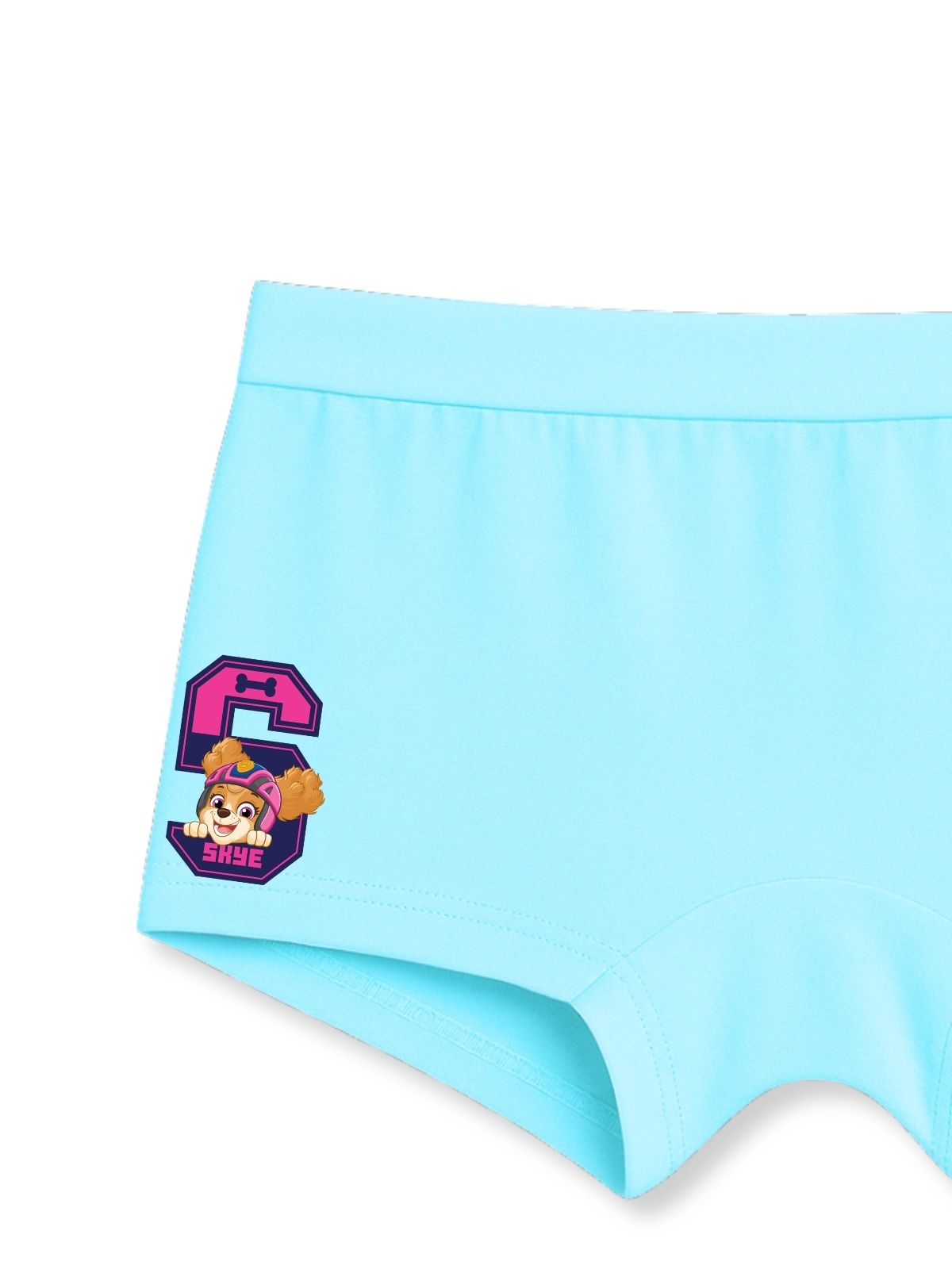Sky Blue Paw Patrol Skye Cute Badge Girls Trunk Panty