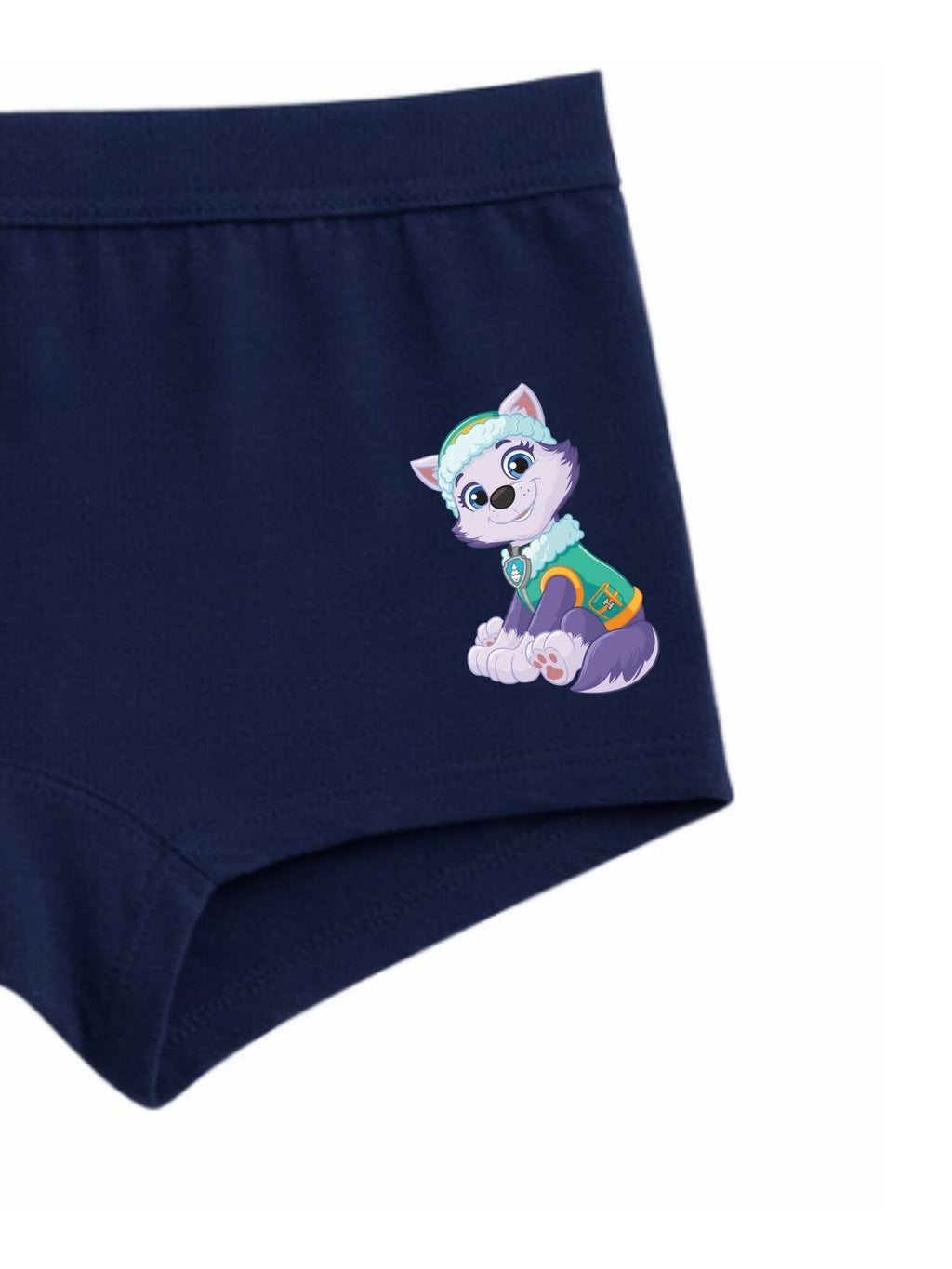 Navy Blue Paw Patrol Everest Cute Sitting Girls Trunk Panty