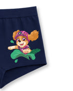Brave Skye Adventure Kids Girls Panties – PAW Patrol Dino Movie©