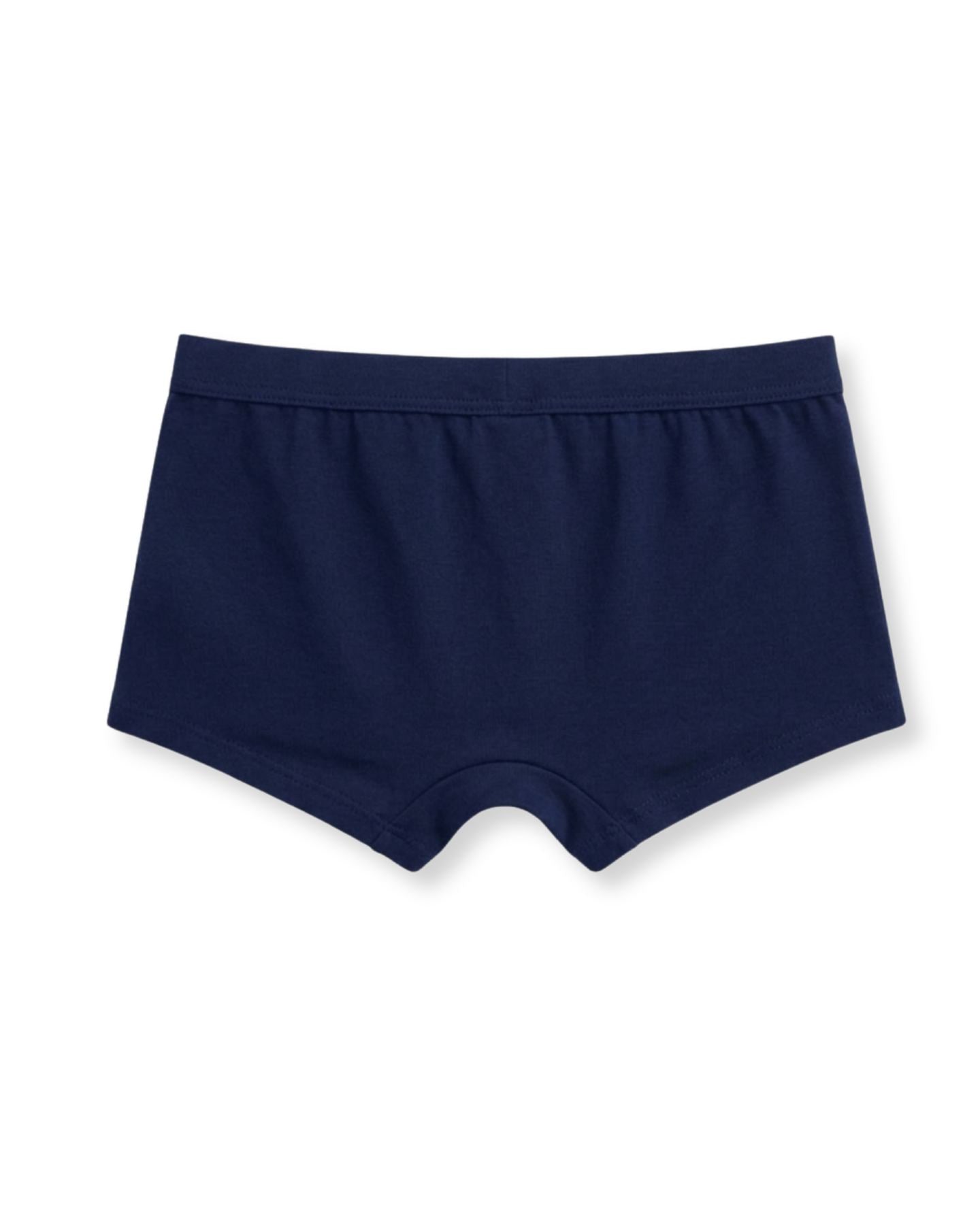 Brave Skye Adventure Kids Girls Panties – PAW Patrol Dino Movie©