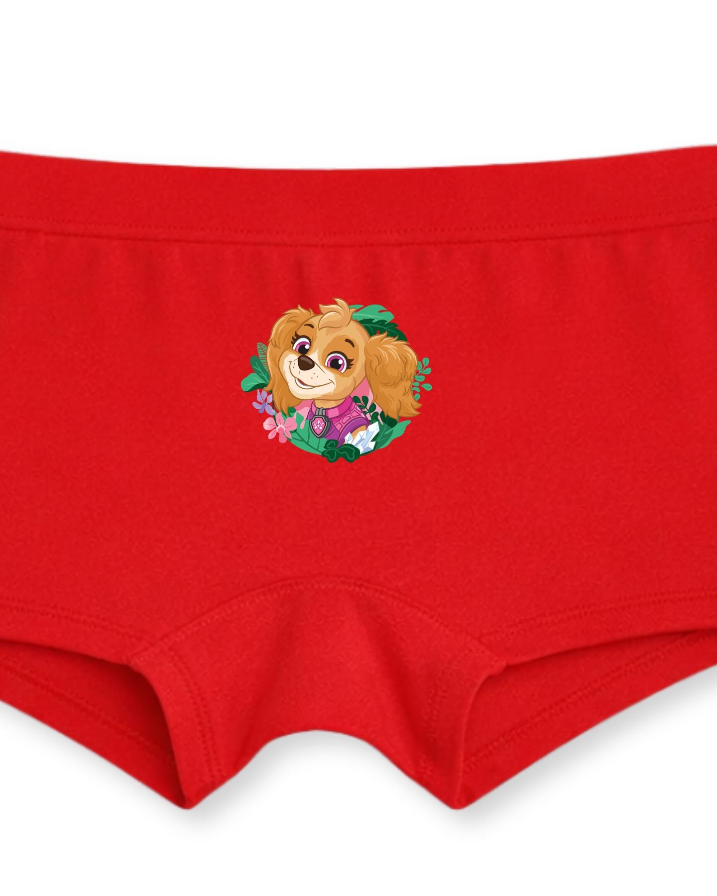 Skye Floral Adventure Kids Girls Panties – PAW Patrol Dino Movie©
