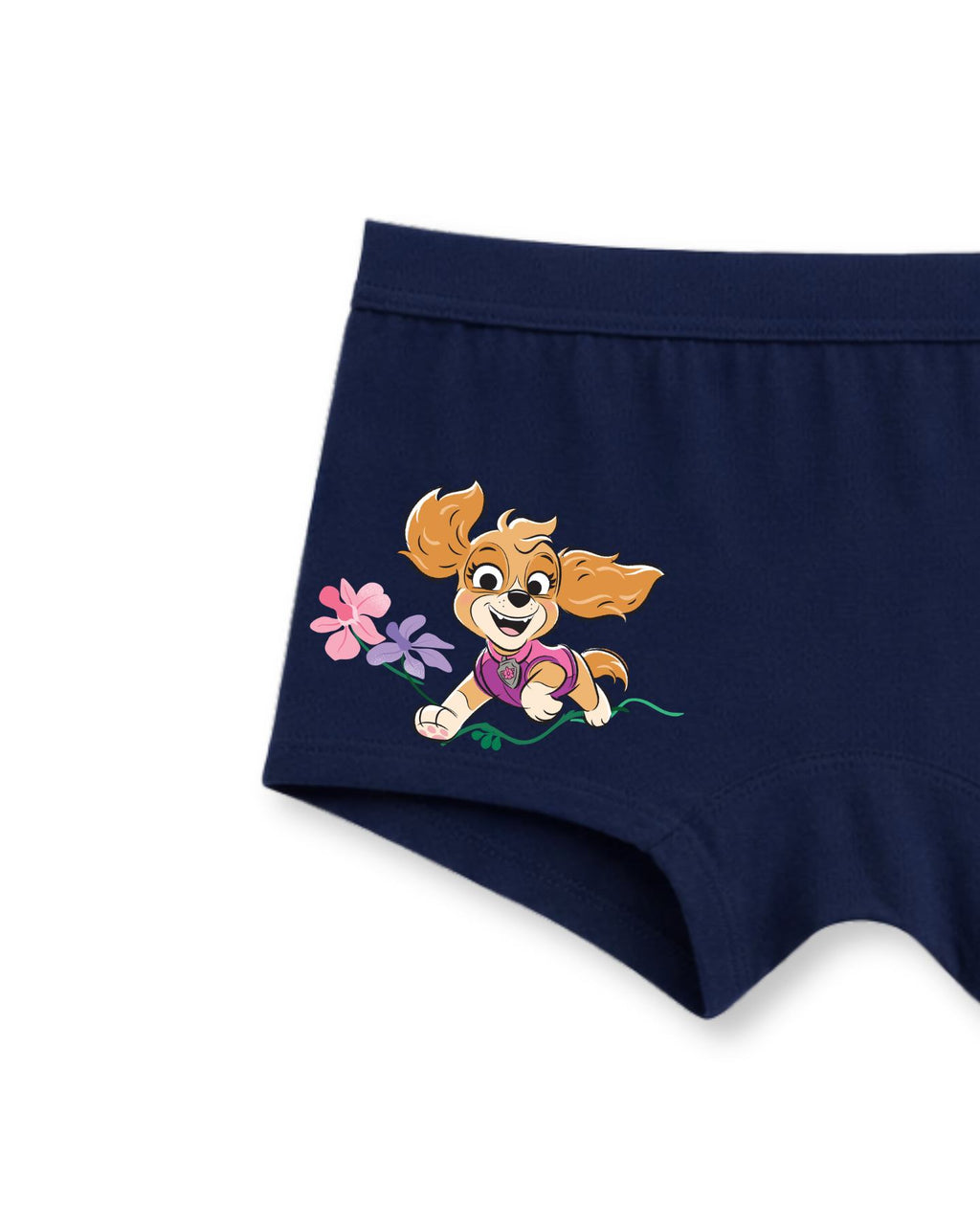 Skye Bloom Adventure Kids Girls Panties – PAW Patrol Dino Movie©