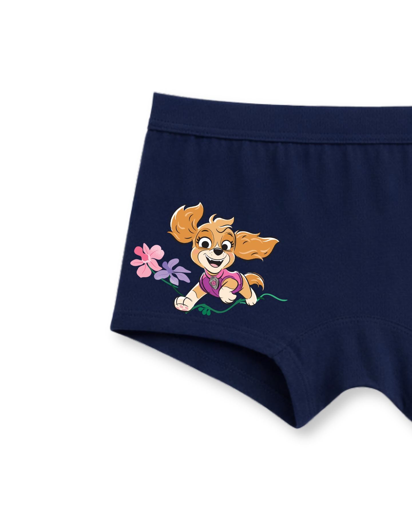 Skye Bloom Adventure Kids Girls Panties – PAW Patrol Dino Movie©