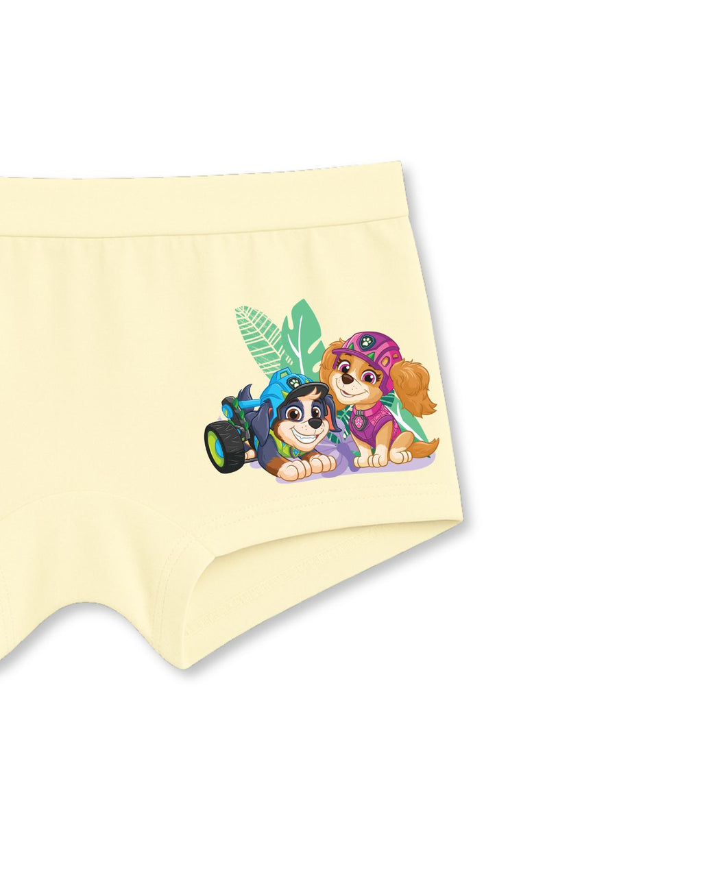 Skye & Chase Dino Adventure Kids Girls Panties – PAW Patrol Dino Movie©