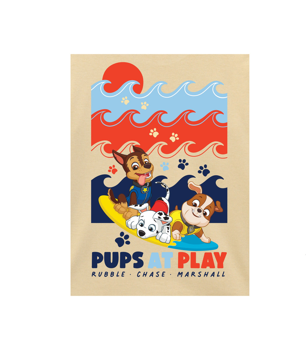 Paw Patrol Surf Adventure Print Kids T-Shirt