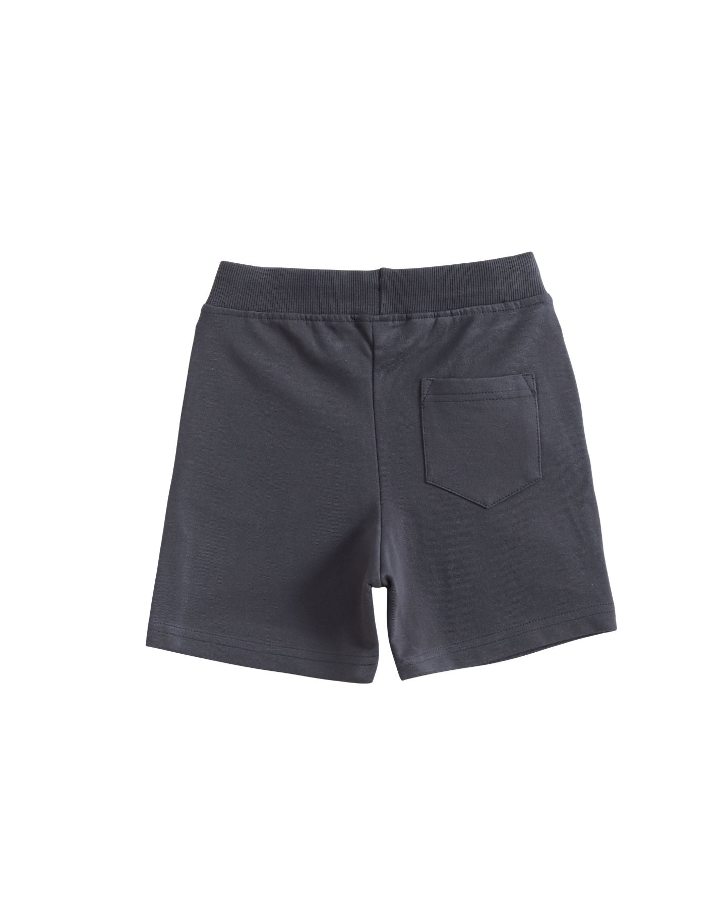 Charcoal Grey Paw Patrol Chase Born Brave Boys Shorts