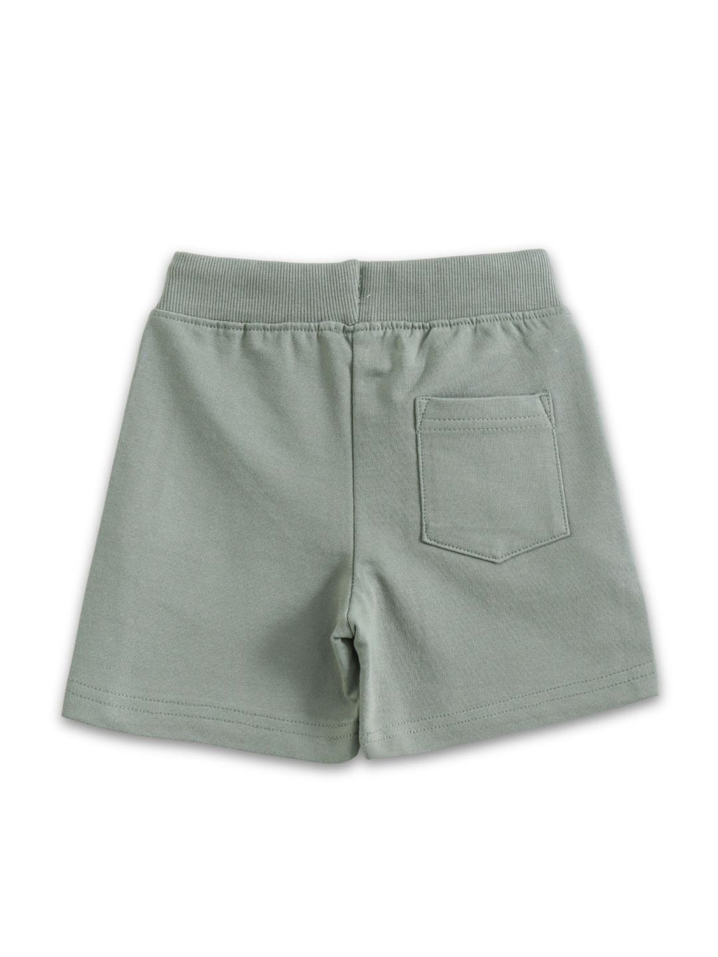 Sage Green TMNT Ninja Heroes in a Half Shell Boys Shorts