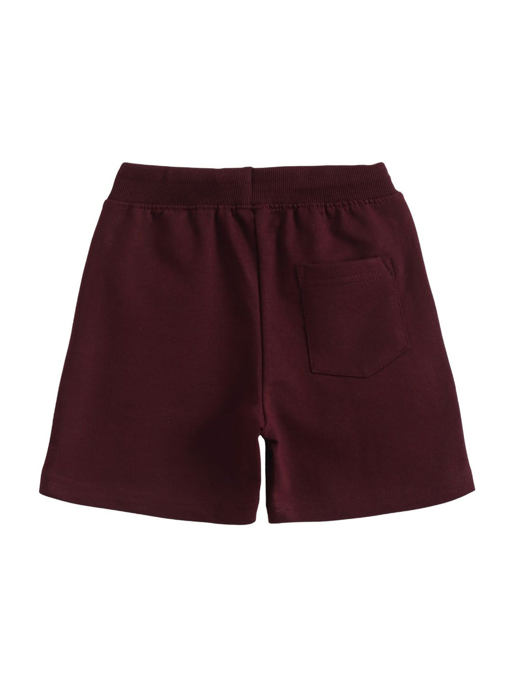 Maroon TMNT Turtle Shell Ninja Action Boys Shorts