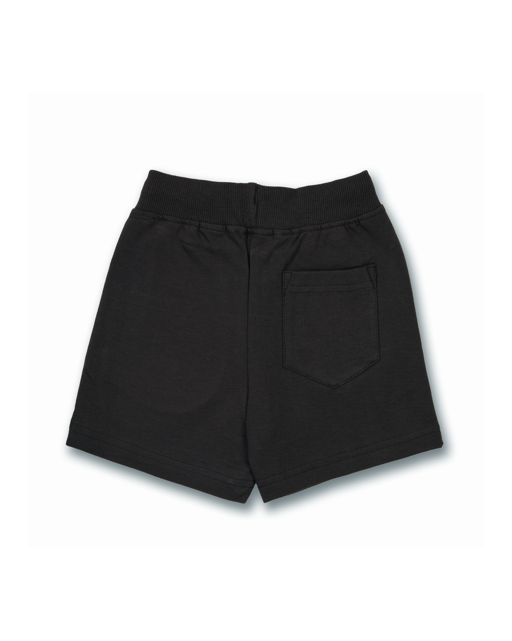 Sky Blue TMNT Leonardo Kids Shorts 
