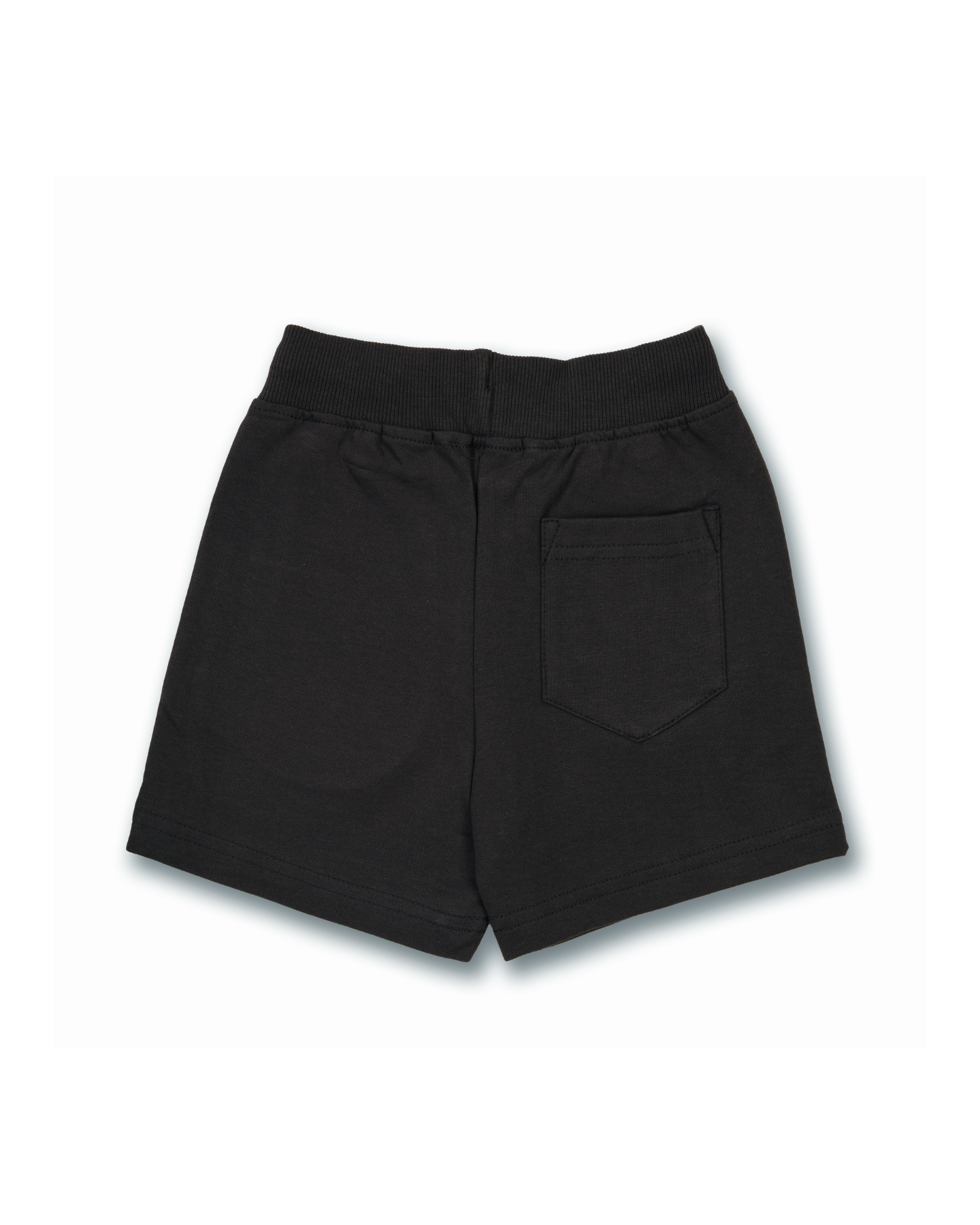 Sky Blue TMNT Leonardo Kids Shorts 