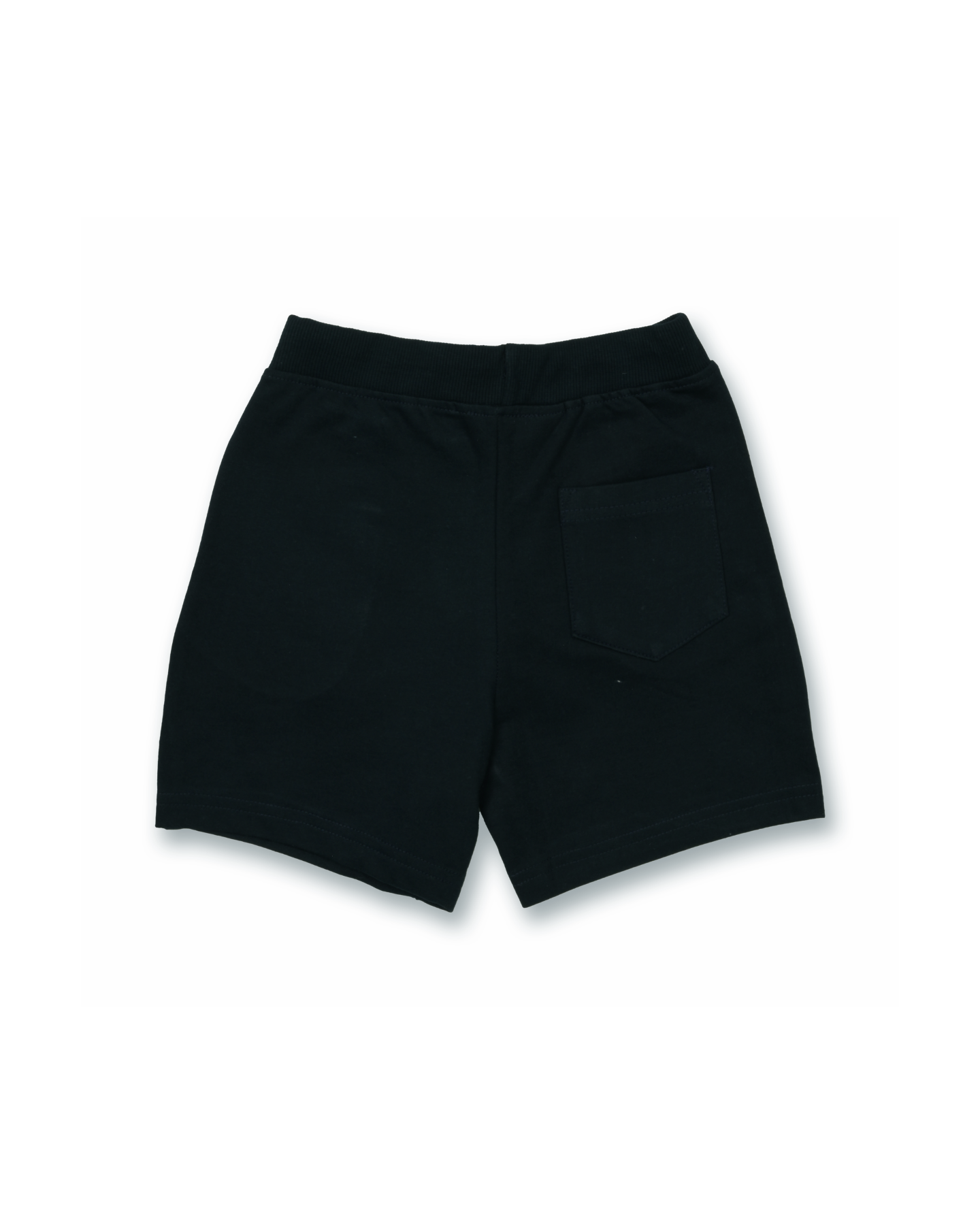 Paw Patrol Chase Marshall Skye Racing Kids Shorts