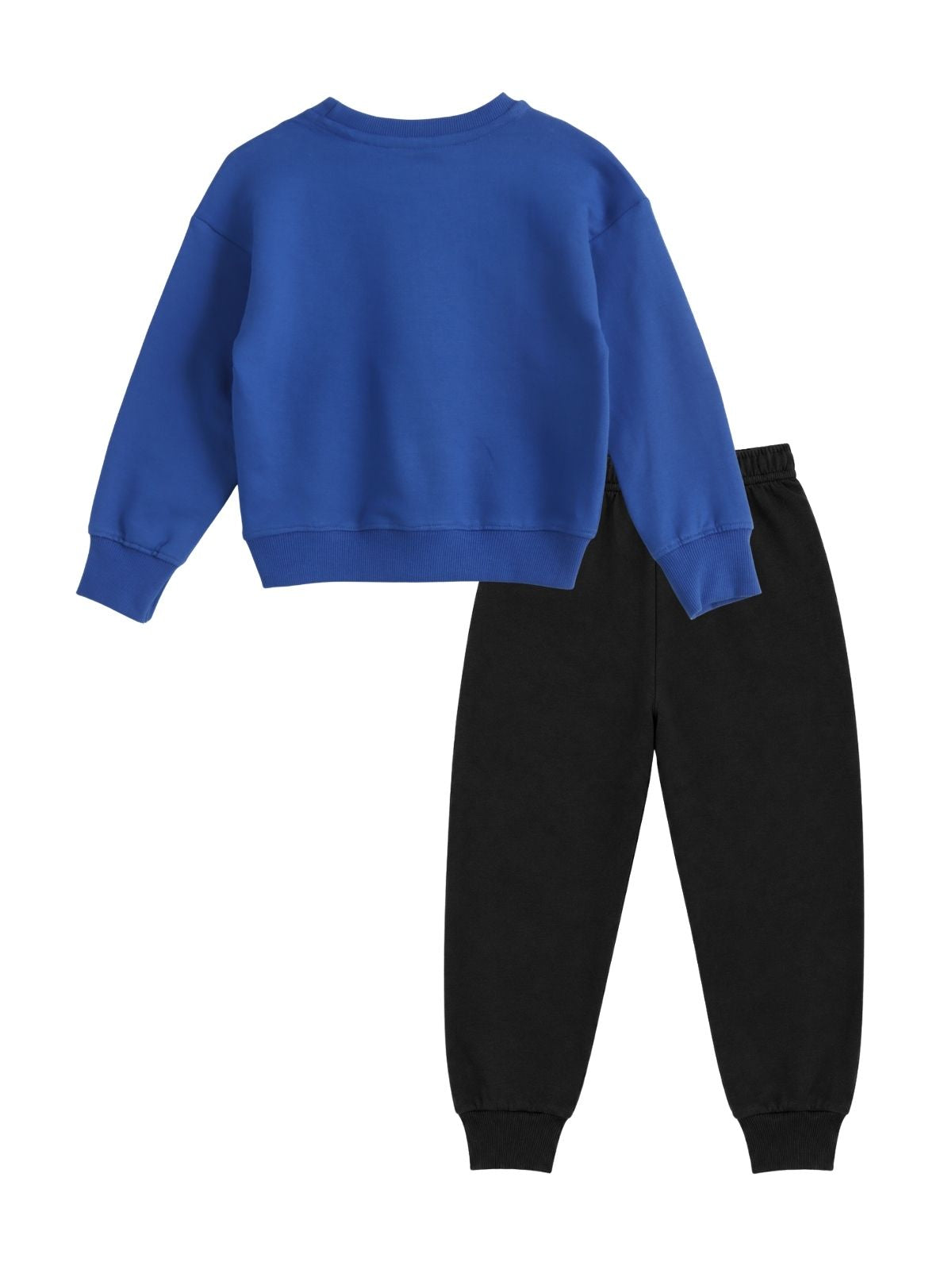 Leonardo Keep Playing Boys Printed Sweatshirt & Jogger Set – Ninja Turtles©