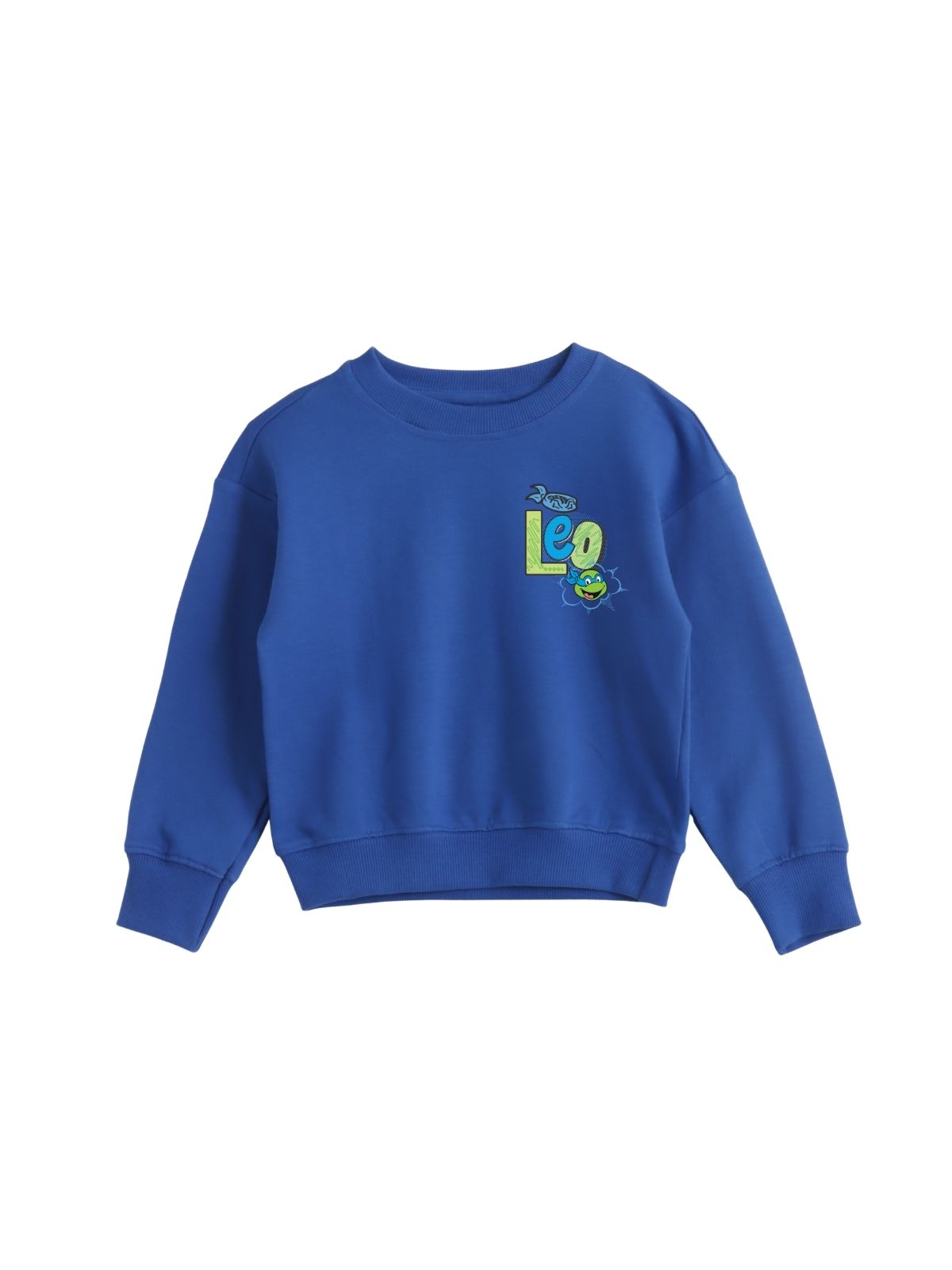 Leonardo Keep Playing Boys Printed Sweatshirt & Jogger Set – Ninja Turtles©