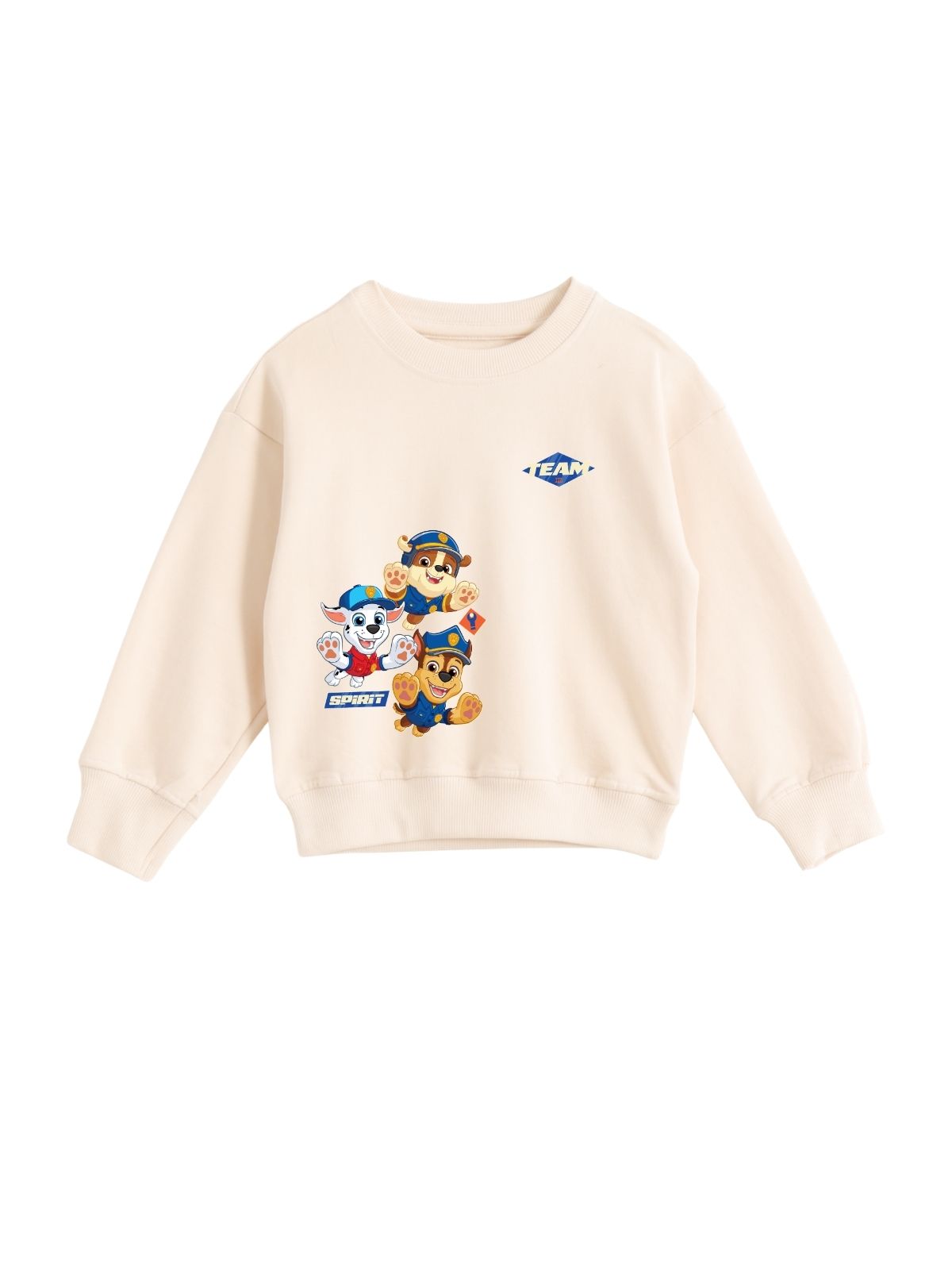 Team Spirit Boys Printed Sweatshirt & Jogger Set – Paw Patrol©