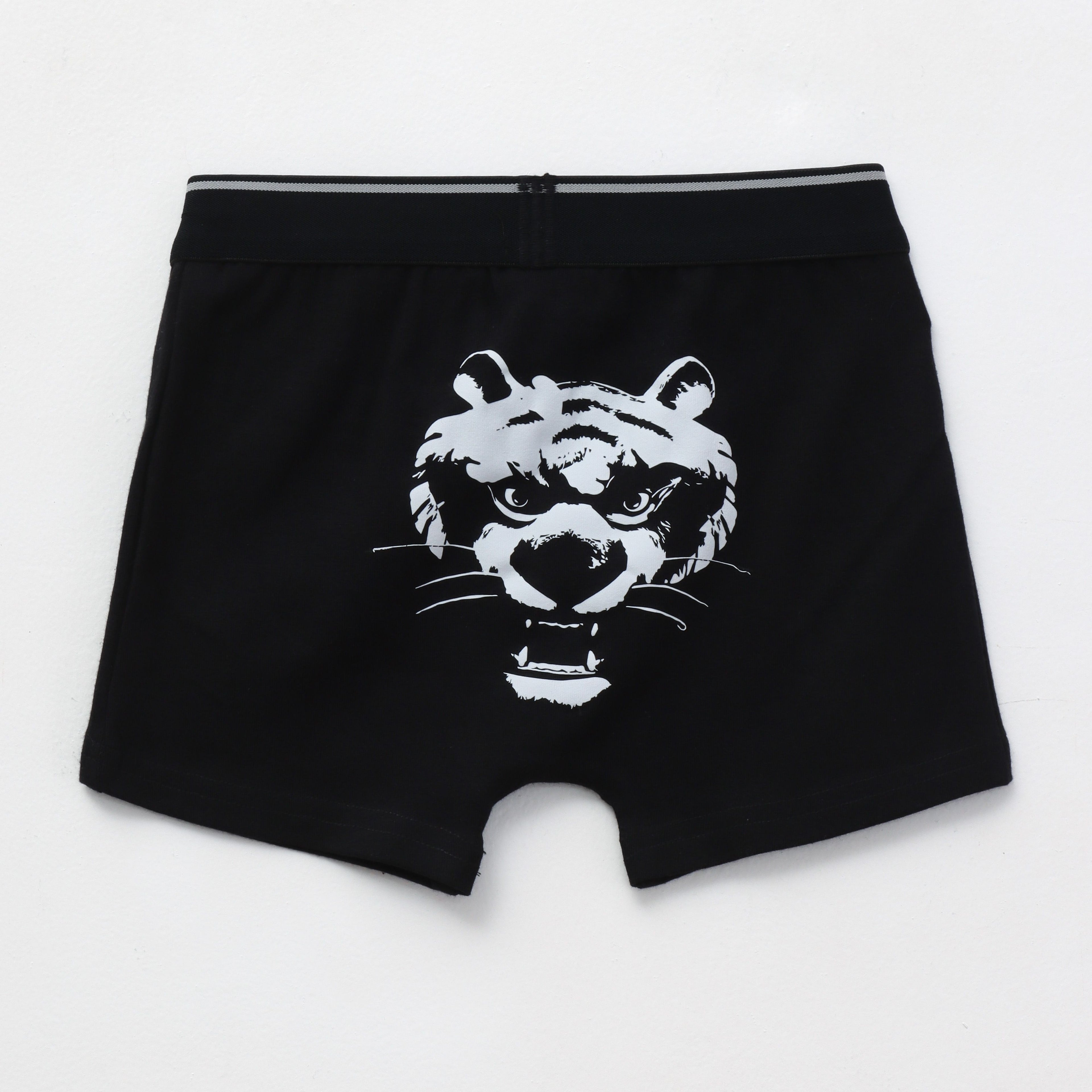 Shere_Khan_Tiger_Print_Kids_Boys_Trunks
