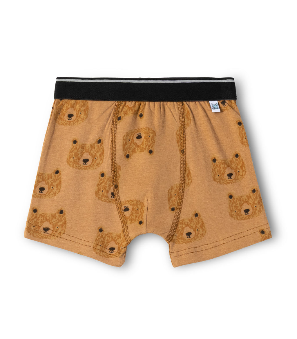 Brown Bear Print Kids Boys Cotton Trunks